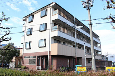 外観 外観