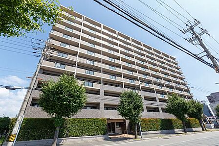 総戸数117戸