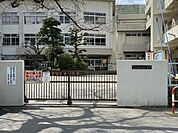 市川市立大柏小学校　988ｍ