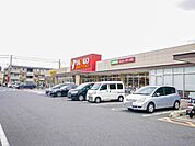 ヤオコー 市川新田店 1015m