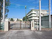 市川市立菅野小学校 徒歩8分。 590m