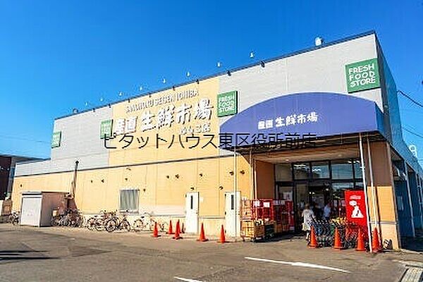 北海道札幌市東区東苗穂六条3丁目(賃貸アパート2LDK・2階・54.27㎡)の写真 その17