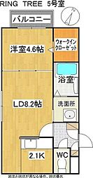 RING TREE(リングツリー) 3階