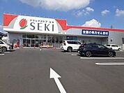 ドラッグストアセキ南鳩ヶ谷店 325m
