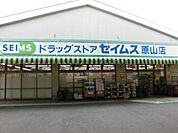 ドラッグセイムス原山店 527m