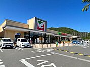 ヨークベニマル仙台茂庭店まで1500m