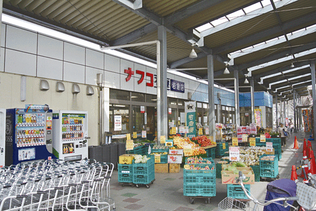 スーパー「ナフコ不二屋岩倉店まで219ｍ」