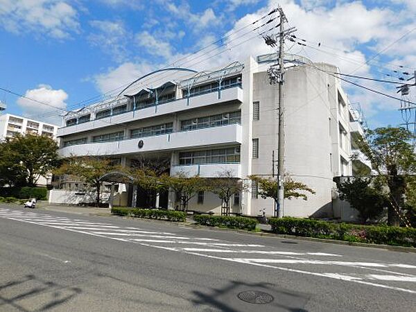画像30:【中学校】神戸市立魚崎中学校まで1193ｍ