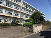 平塚市立松延小学校平塚市立松延小学校 300m