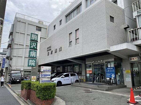 画像27:【総合病院】駒沢病院まで533ｍ