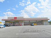 ゴダイドラッグ　氷上本郷店まで9990メートル