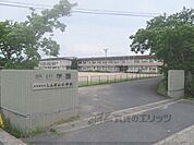 しんざん小学校まで800メートル