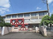 倉梯小学校まで50メートル