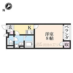 レオネクストシンシア