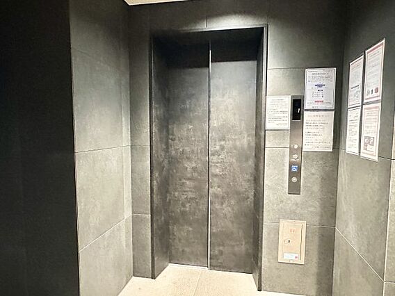 落ち着いたトー...