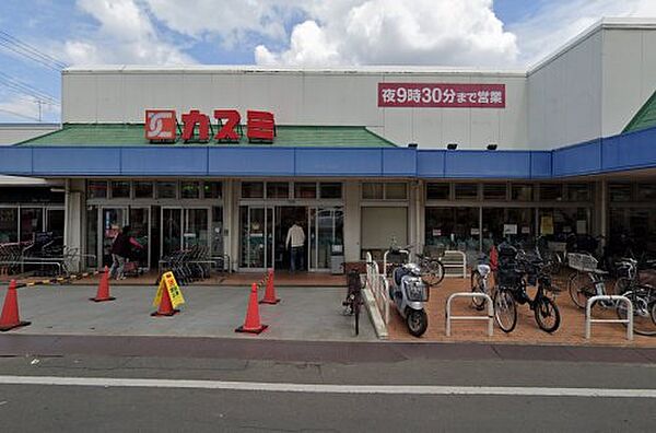 画像30:【スーパー】KASUMI(カスミ) 湖北店まで2436ｍ