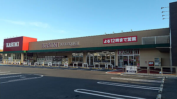 画像20:【スーパー】カスミ フードスクエア水戸堀町店まで702ｍ