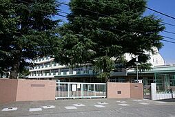 狛江市立狛江緑野小学校 940m