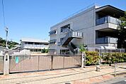 世田谷区立桜丘小学校 700m
