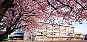 調布市立第八中学校 800m