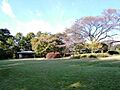 桜丘すみれば自...