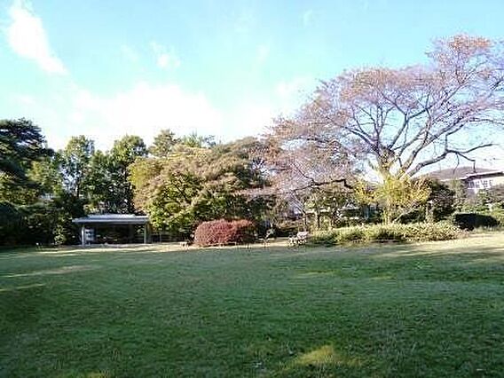 桜丘すみれば自...