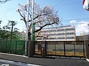 船橋希望中学校 240m