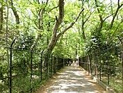 深大寺自然公園 860m