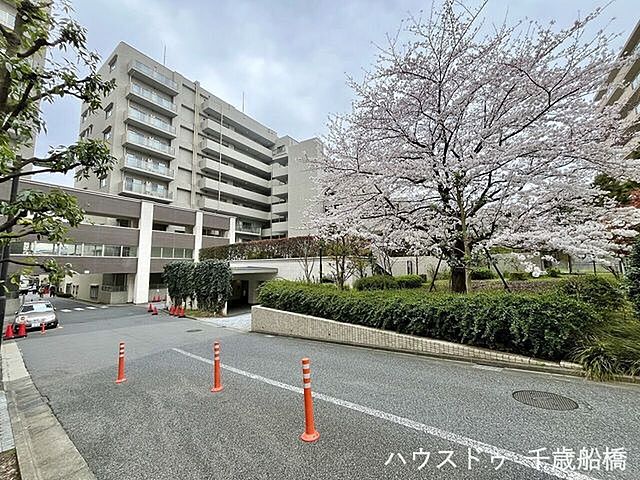 5 / 24