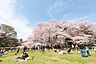 周辺：東京都立砧公園 1130m