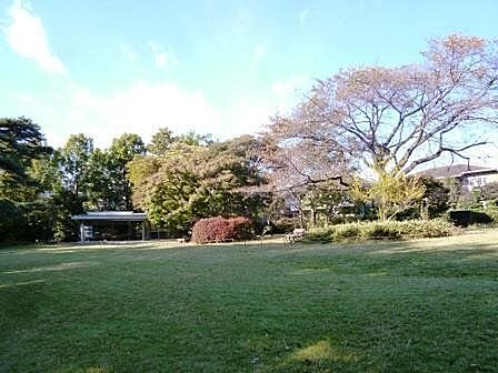 桜丘すみれば自然庭園 1030m