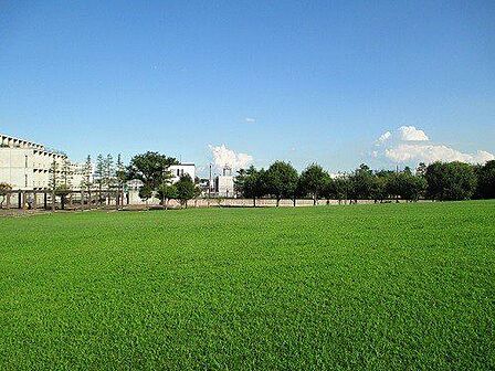 ぽかぽか広場 800m