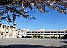 周辺：世田谷区立千歳中学校 1800m
