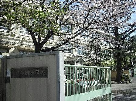 世田谷区立多聞小学校 510m