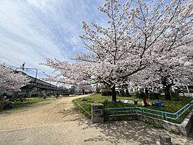 大阪府大阪市阿倍野区桃ケ池町2丁目（賃貸マンション1K・4階・17.00㎡） その26