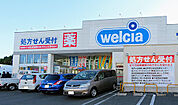 ウェルシア柏酒井根店（1130m）