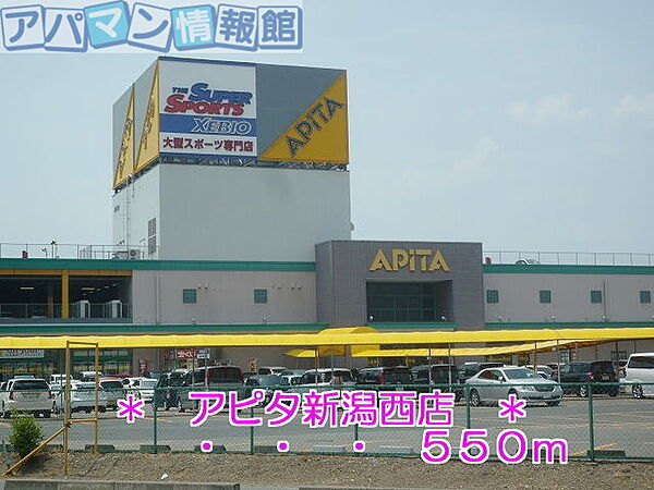 画像15:アピタ新潟西店 550m