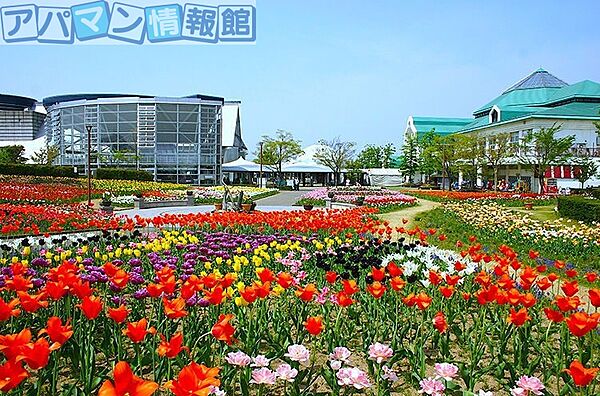 アルデバラン ｜新潟県新潟市西区山田(賃貸アパート1LDK・3階・43.10㎡)の写真 その19