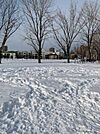 二十四軒公園 561m