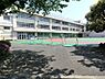 周辺：【小学校】第三寺島小学校まで305ｍ