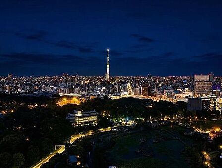 高層階ならではの伸びやかな景色が広がり、日常の中で開放感を味わえます。