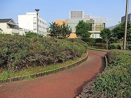 南砂三丁目公園 徒歩7分。 500m