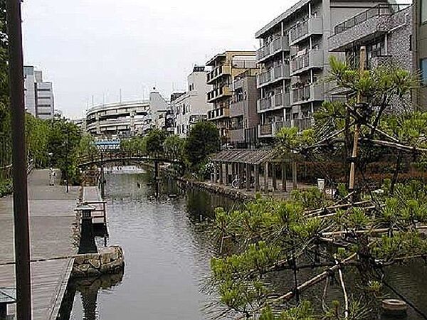 周辺を拡大表示
