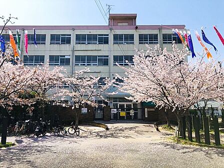 高槻市立玉川小学校 250m
