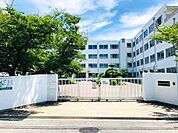 高槻市立柳川中学校生徒数323名 850m