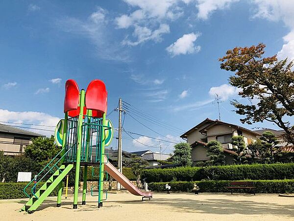 周辺を拡大表示