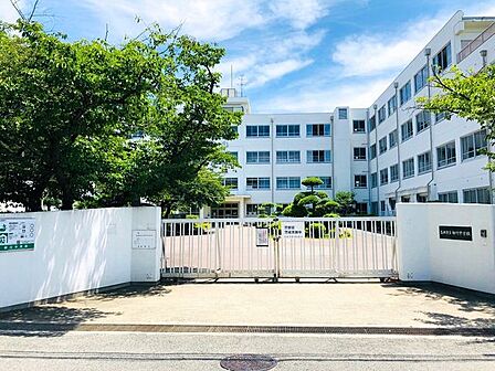 高槻市立柳川中学校生徒数323名 220m