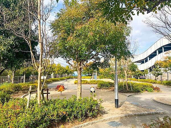 周辺を拡大表示