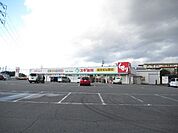 スギドラッグ七和店　在宅訪問も受け付けている、調剤薬局を含むドラッグストアです。【営業時間】10