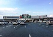 鮮ど市場 霧島店（2272m）